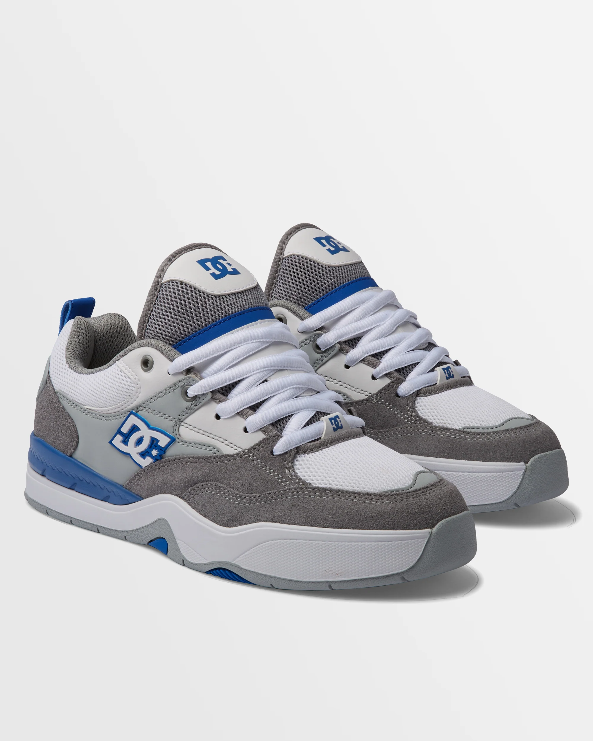 Mens DC Ascend Shoes